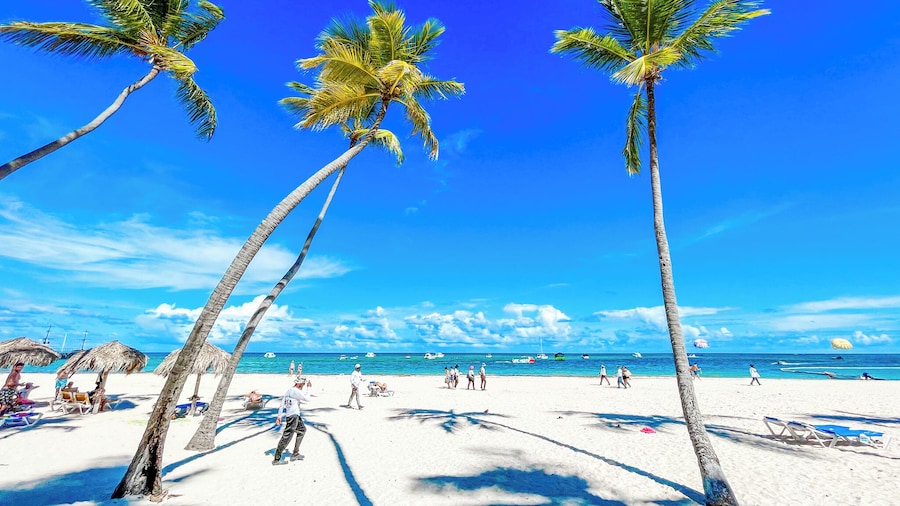 MINI BEACH STUDIOS