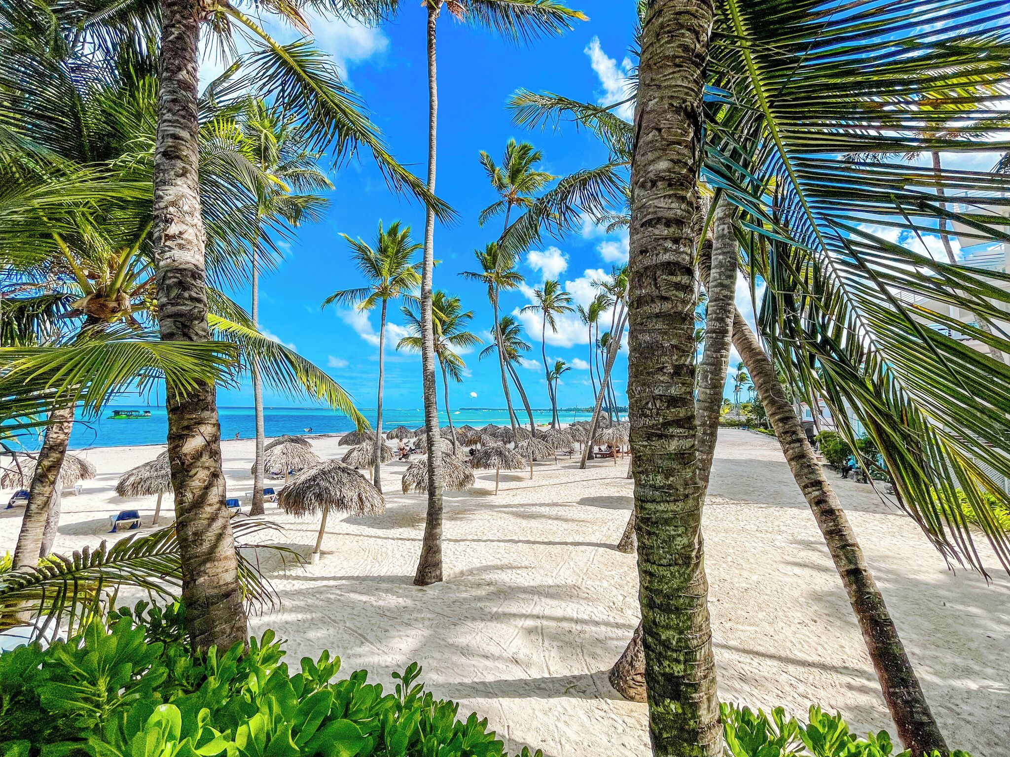 On the beach, white sand, 4 beach bars