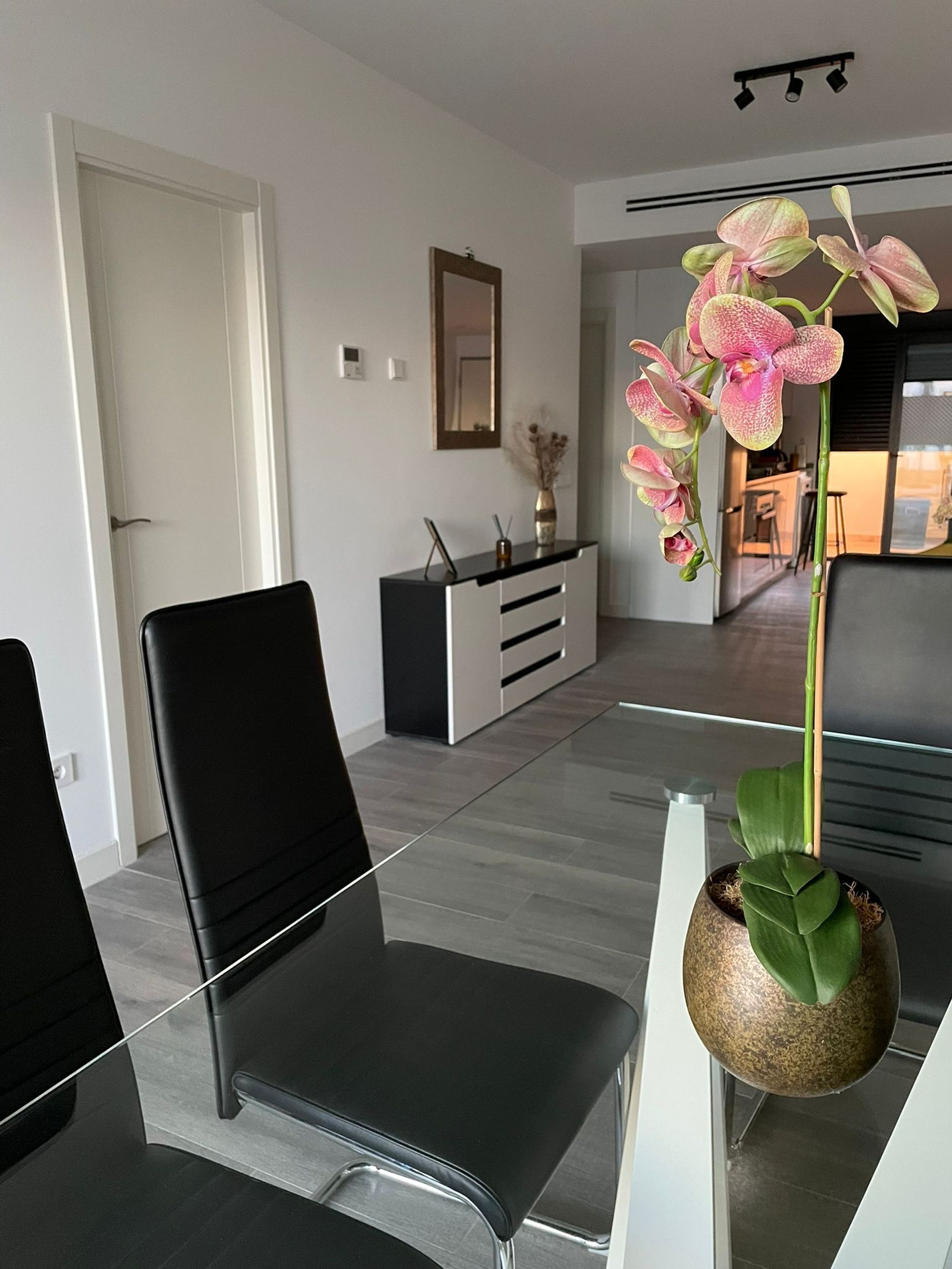 Apartamento | 3 dormitorios