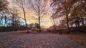 A gravel path with scattered fallen leaves, surrounded by trees with autumn foliage. - 50/30 amp all weather campground site #2 full hook up (Masury)