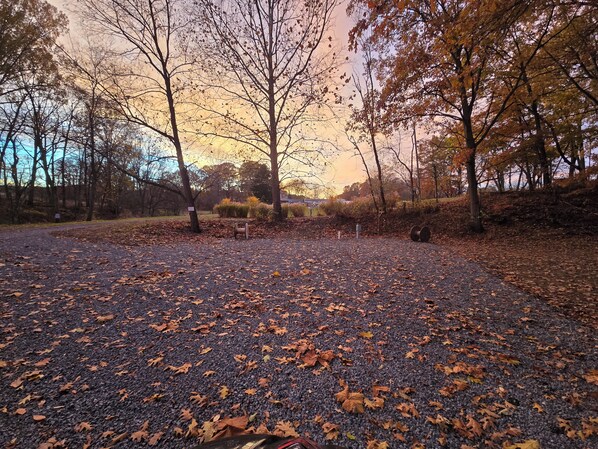 A gravel path with scattered fallen leaves, surrounded by trees with autumn foliage.