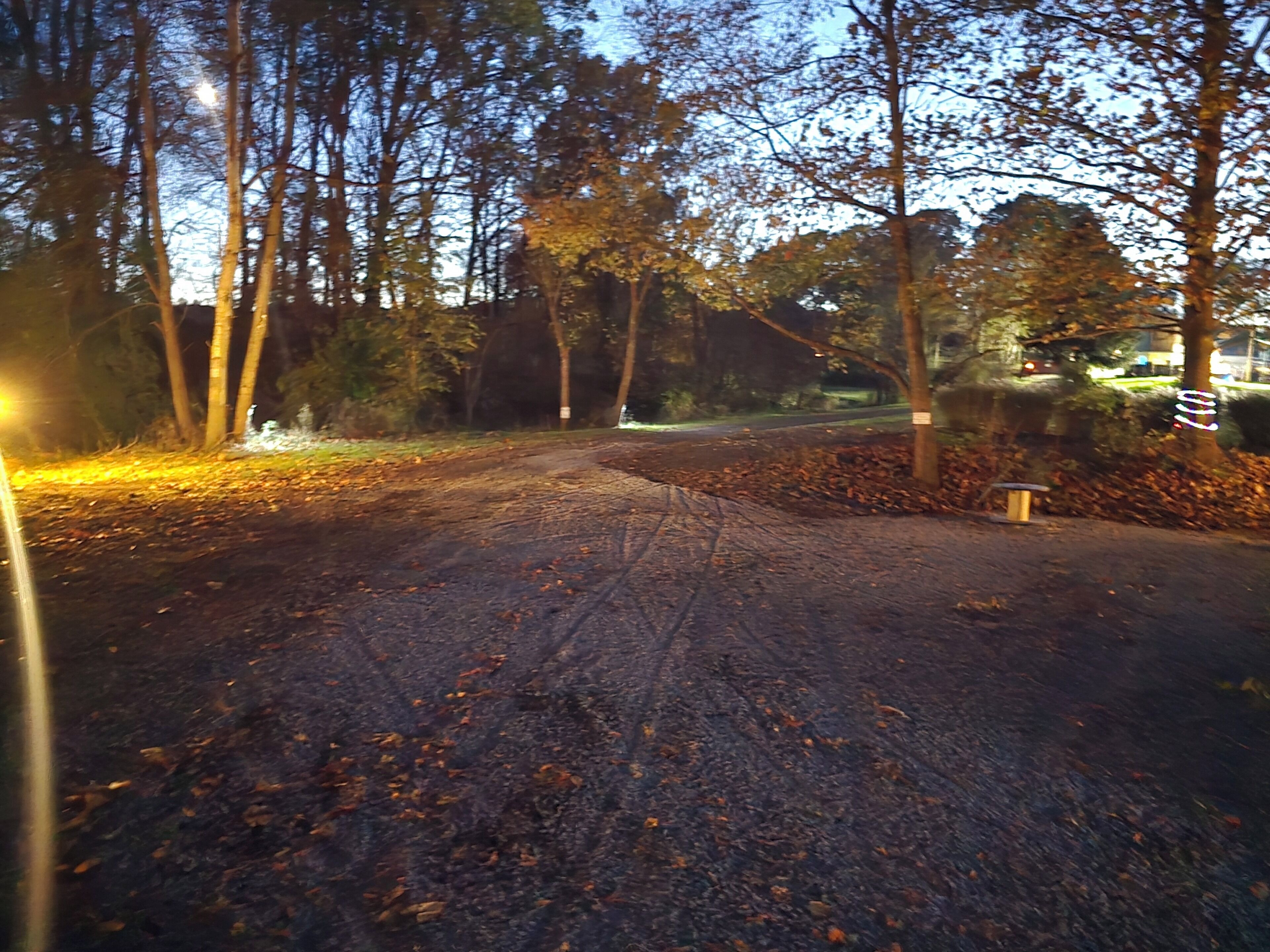 Een verhard pad bezaaid met herfstbladeren, omgeven door bomen en een lantaarn.