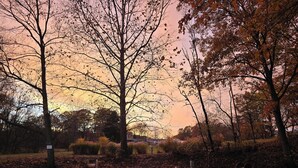 A park with trees, a pathway, and a bench. - 50/30 amp all weather campground site #2 full hook up (Masury)