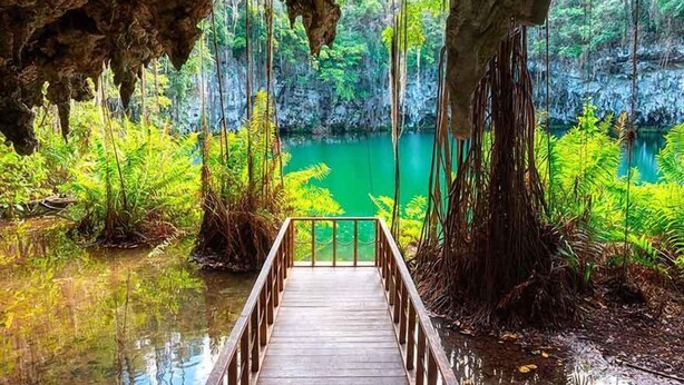 A wooden walkway leading to a body of water surrounded by lush greenery and trees. - MINI STUDIOS BEACH (Punta Cana)