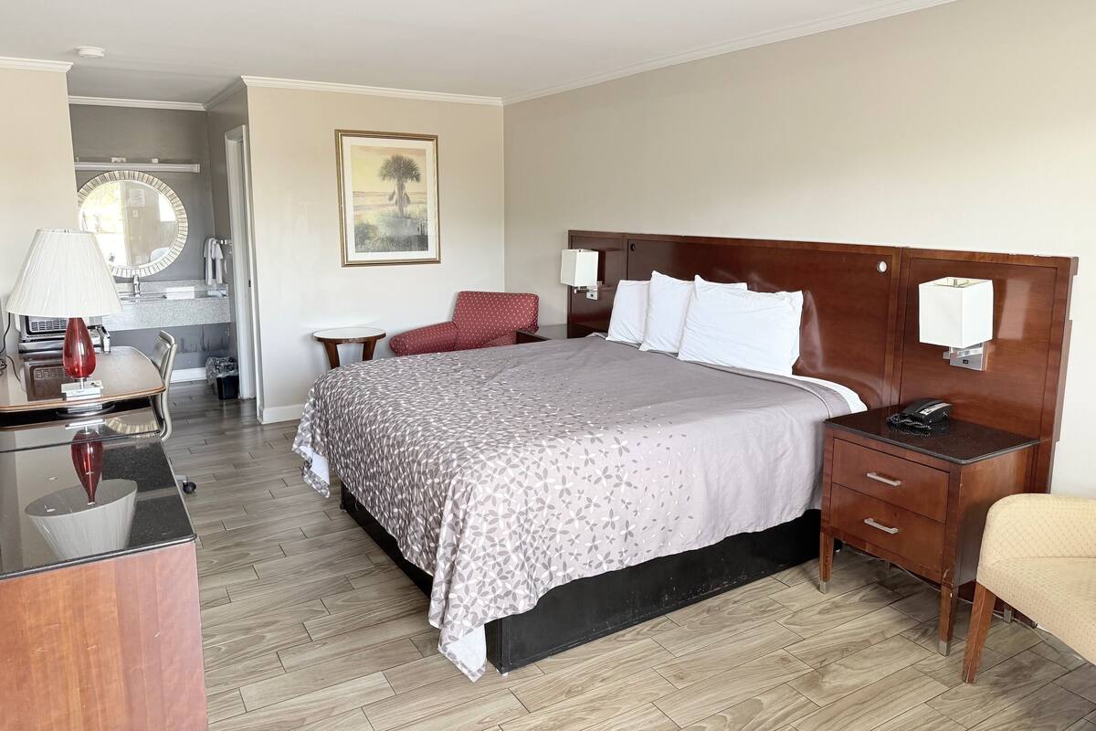 Room, 1 King Bed, Non Smoking | Desk, free WiFi