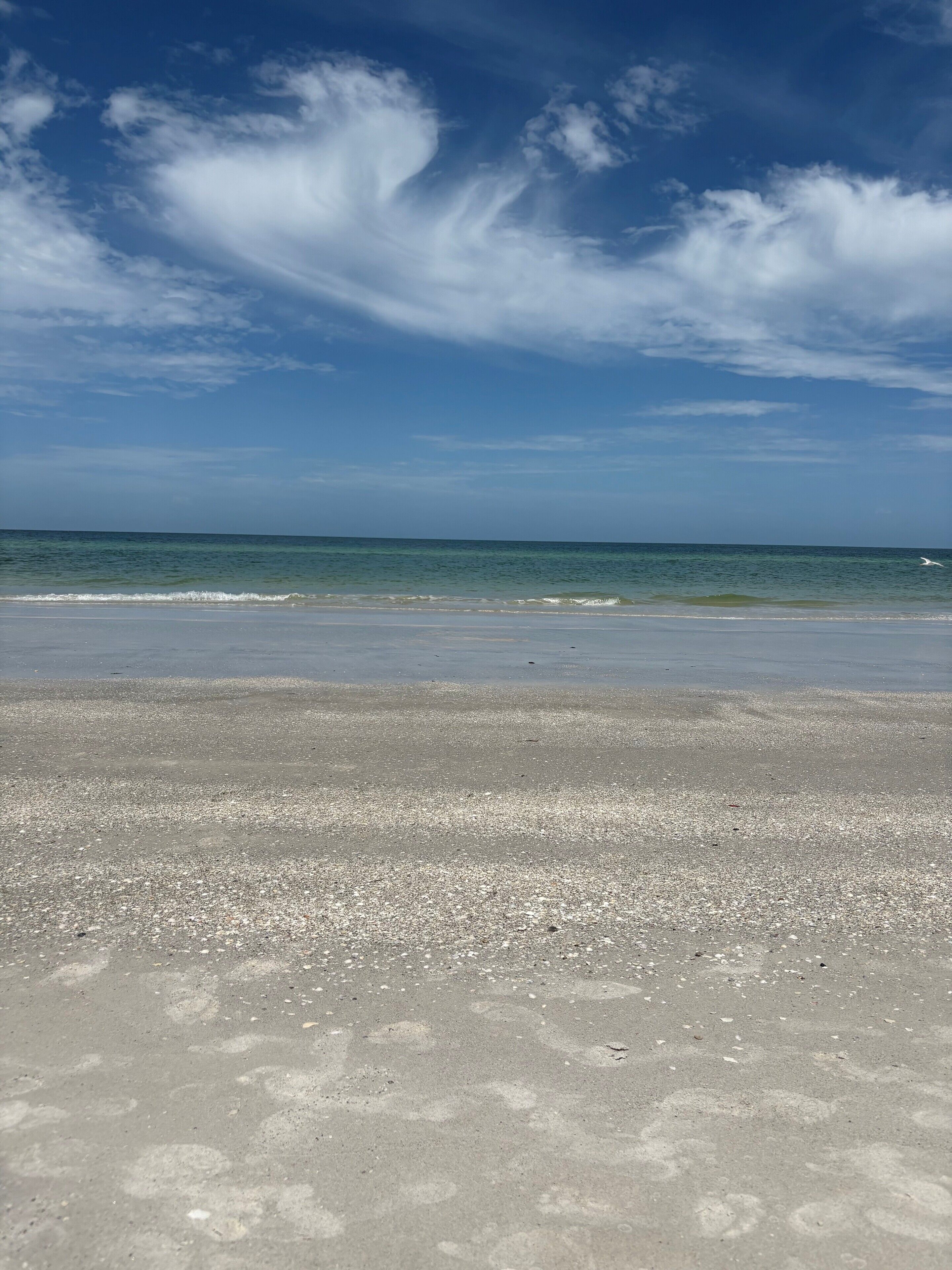 Beach nearby, sun-loungers, beach towels