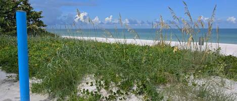 Ranta lähistöllä, aurinkotuoleja, rantapyyhkeitä