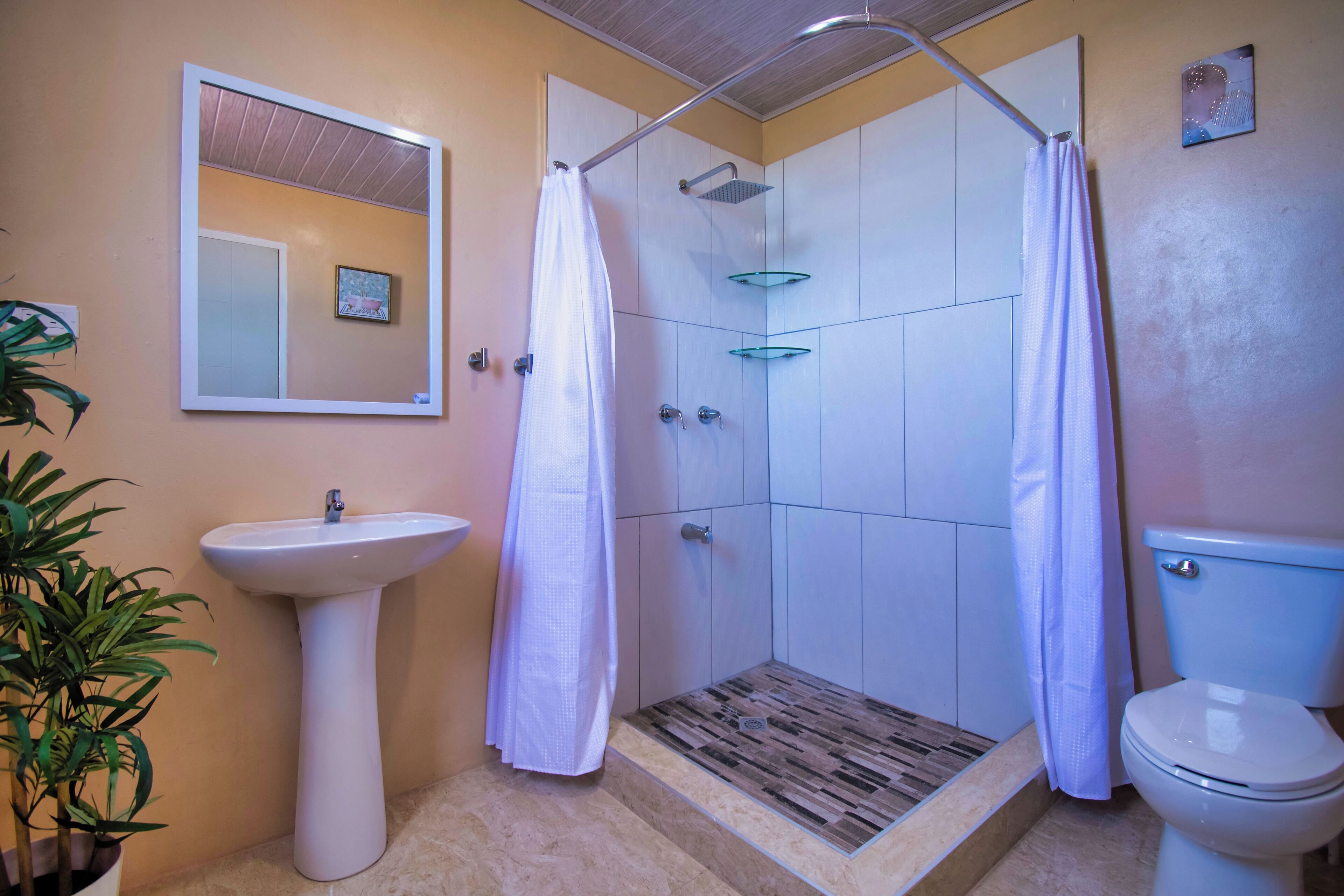 Une salle de bain avec un lavabo sur colonne, une douche avec une paroi en verre et des toilettes.