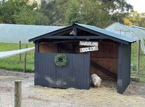 المنطقة المحيطة بالمنشأة