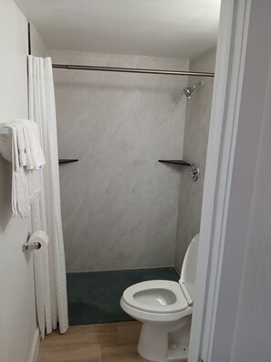 Une salle de bain équipée d’une douche, de toilettes et d’un porte-serviettes.
