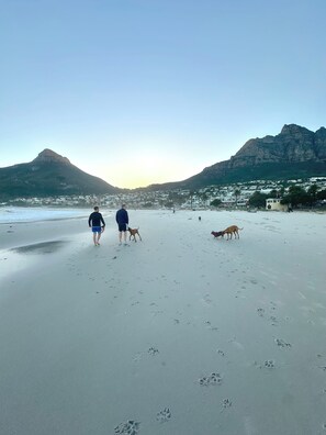 Beach nearby - Three Anchor Heart (Cape Town)