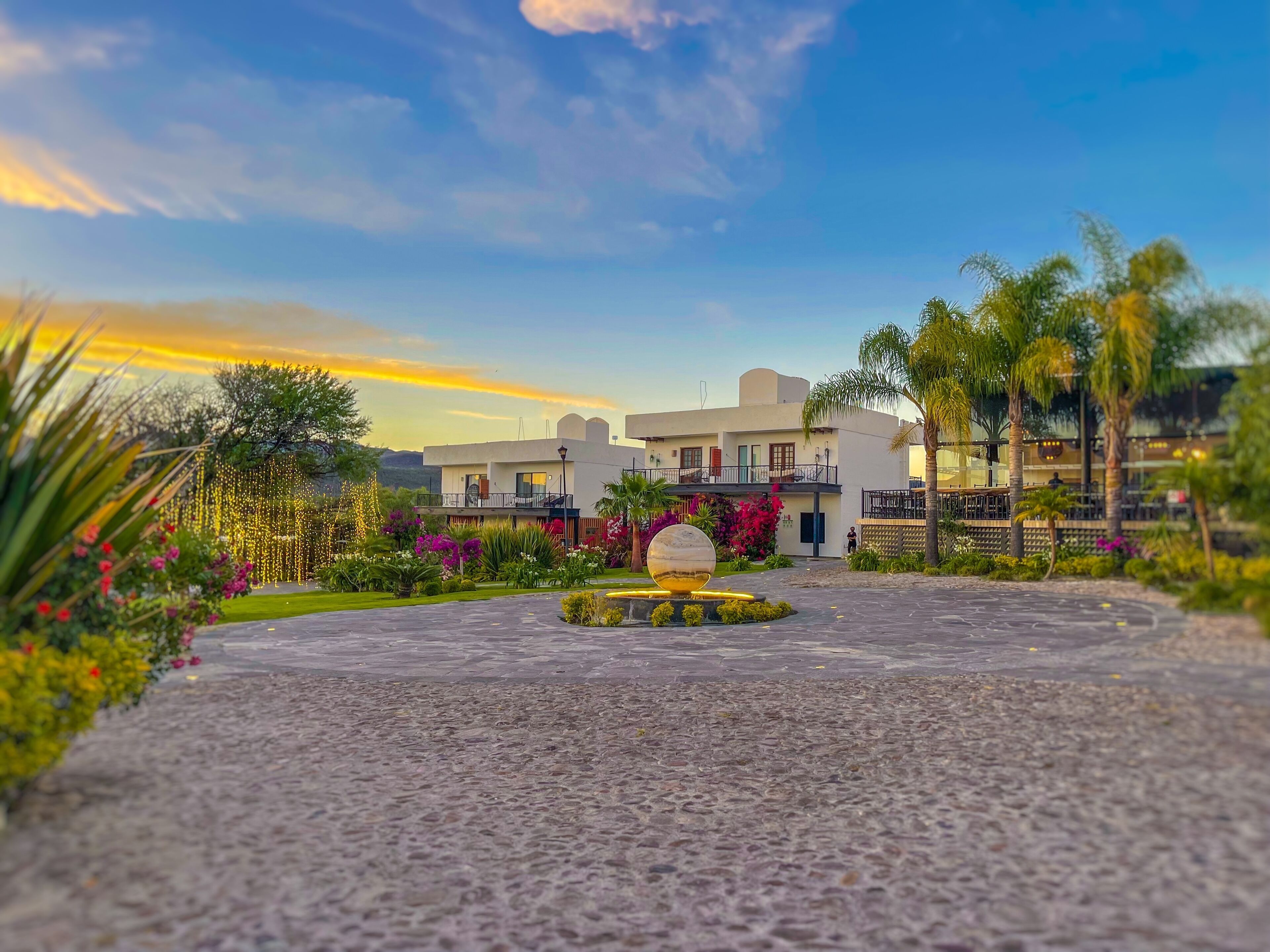 Un patio de hotel con una fuente, palmeras y luces colgantes.