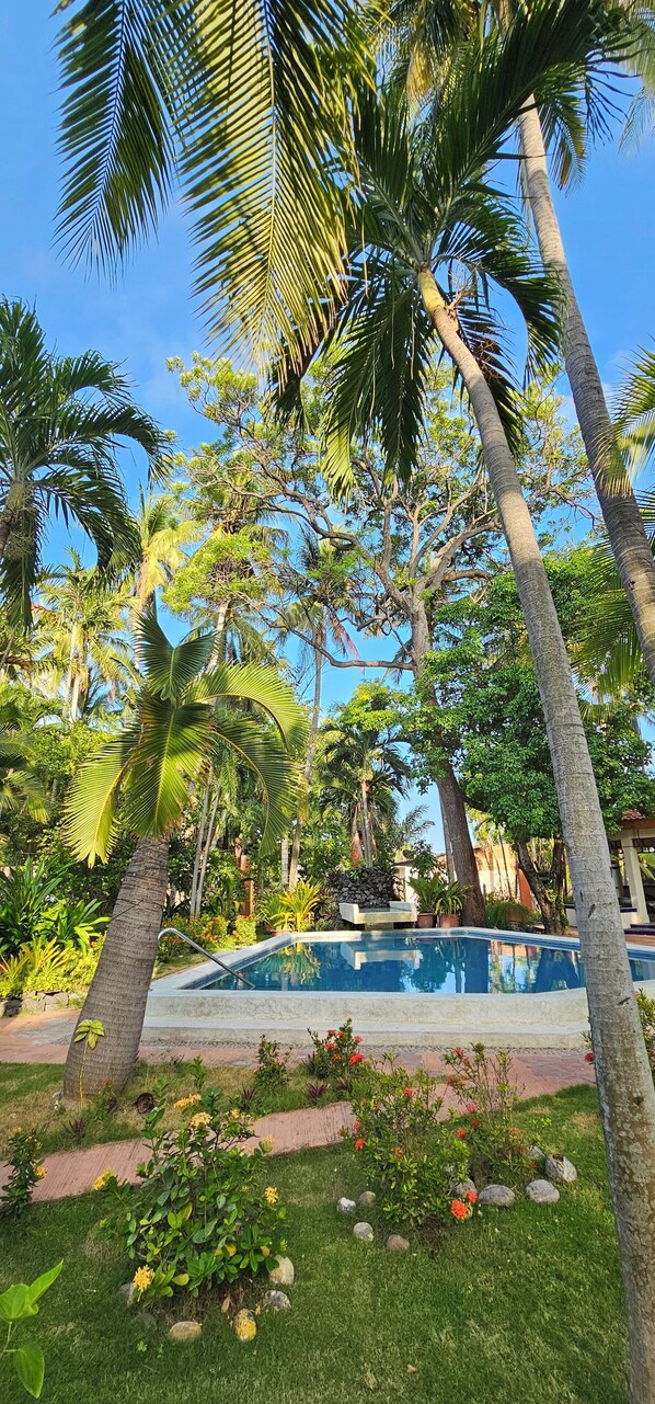 Pool - Welcome to Agua Linda. Charming cottage with AC in La Libertad (La Libertad)