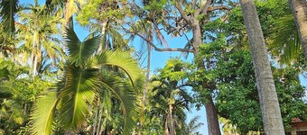 Welcome to Agua Linda. Charming cottage with AC in La Libertad