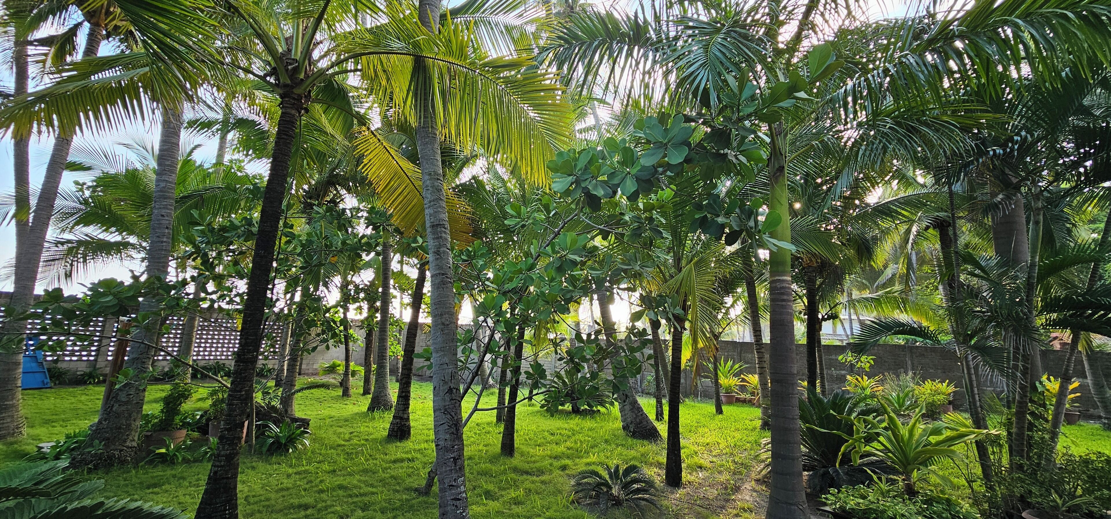 Overnatningsstedets område