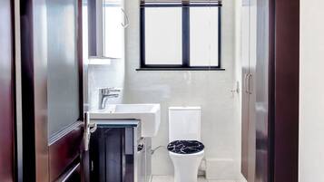 Shower, towels, soap, toilet paper