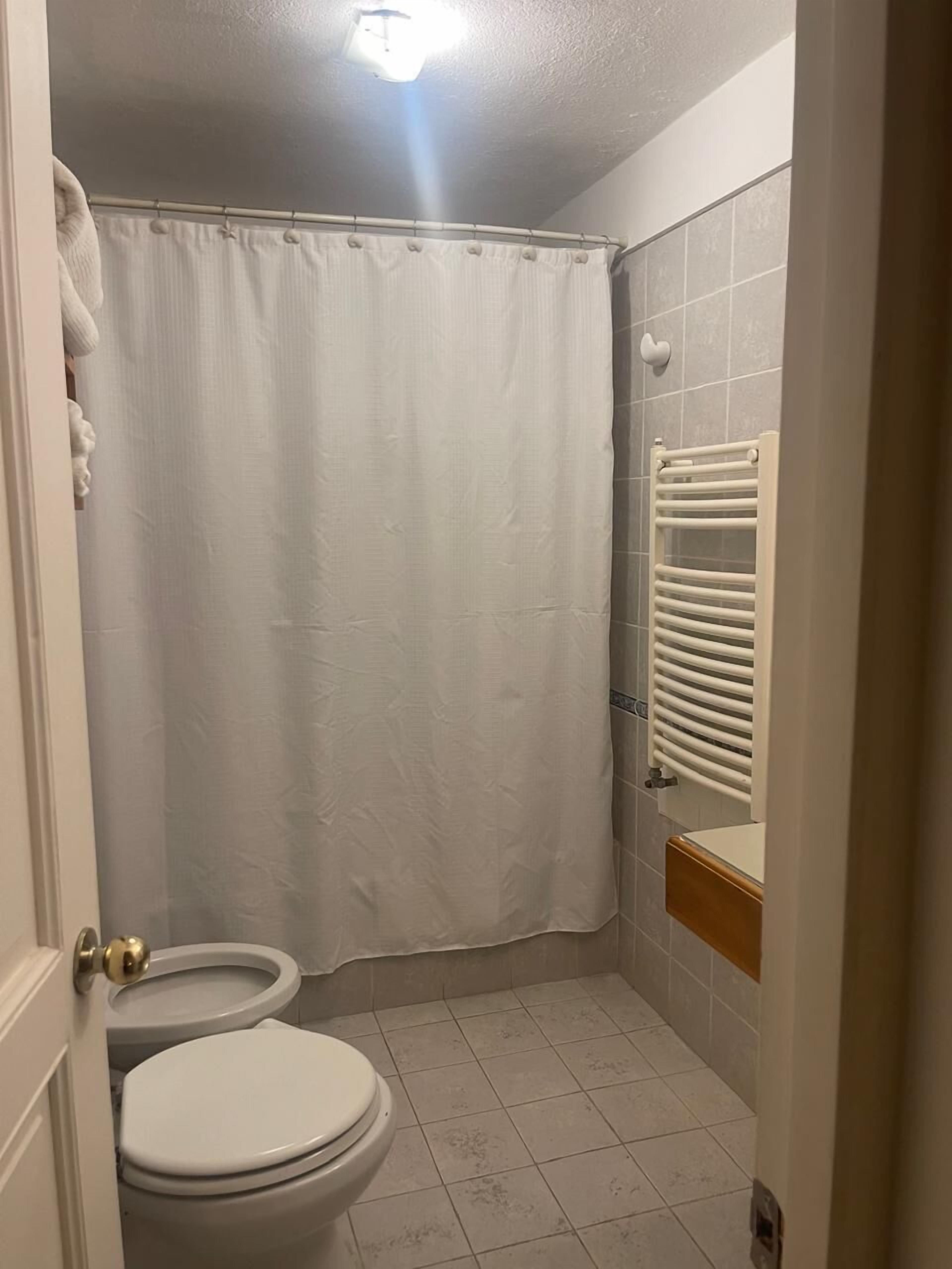 Et lille, rent badeværelse med toilet, badeforhæng og håndklædestang.