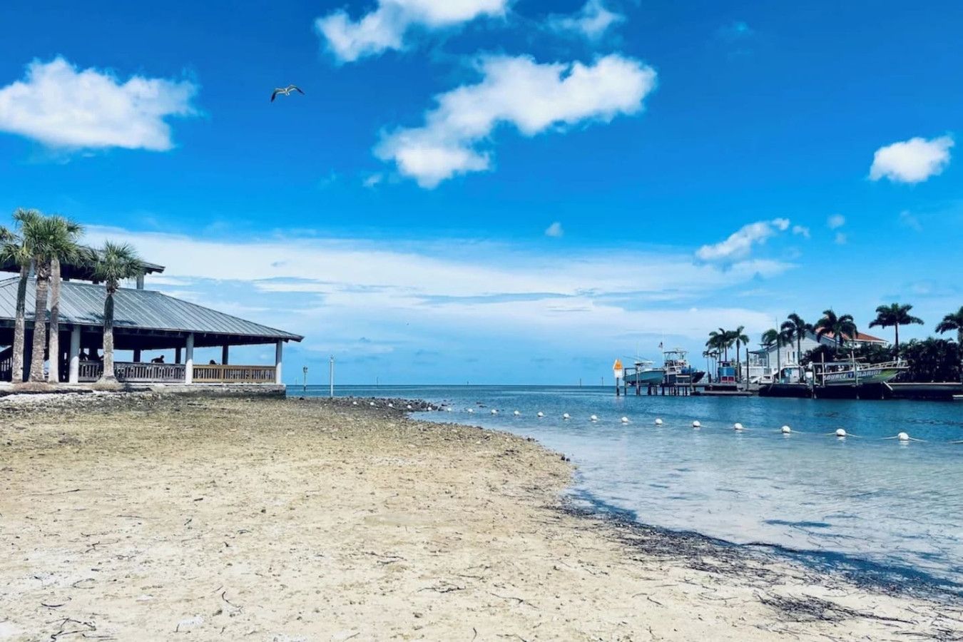 A beach with a pavilion, a pier with boats, and a clear sky.