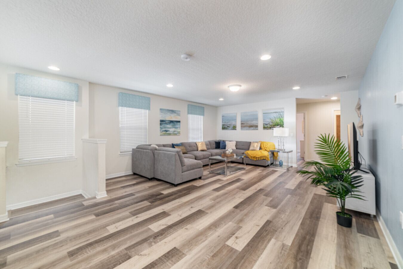 テレビ、卓球台