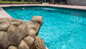 Ein Pool mit einer Skulptur einer Steinschildkröte im Vordergrund.