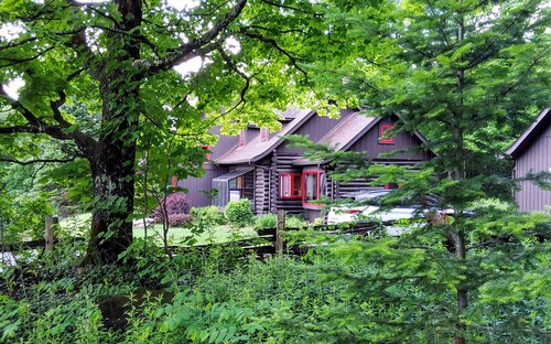 Charming spacious rustic Chalet with view minutes away from major ski centers .