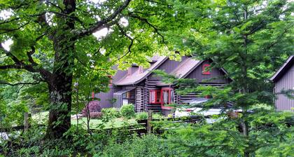 Charming spacious rustic Chalet with view minutes away from major ski centers .