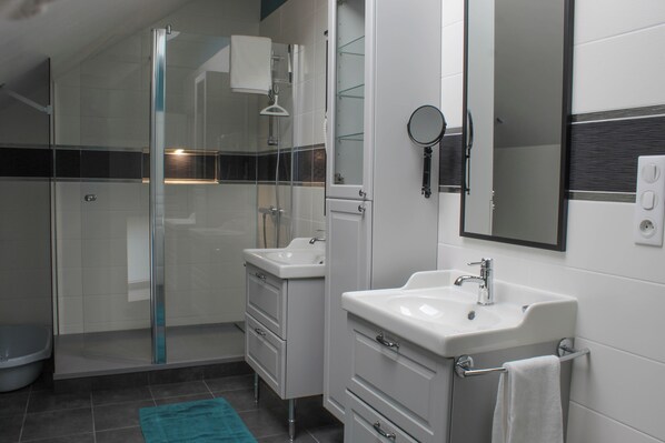 A modern bathroom with a glass shower enclosure, two sinks, and a mirror.