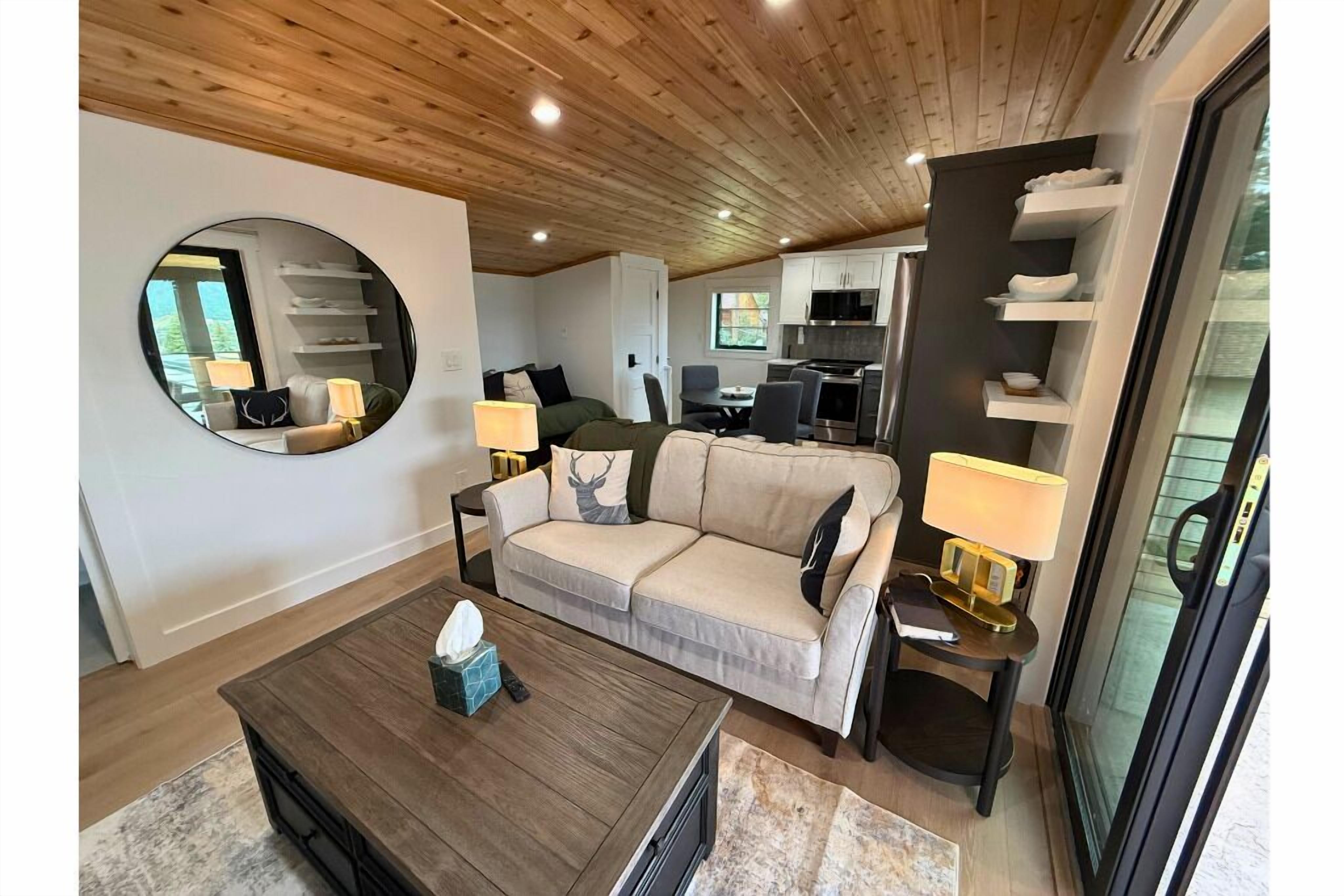 Smart TV, fireplace, books