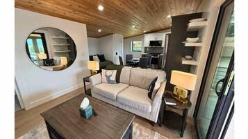 Smart TV, fireplace, books