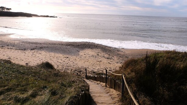 A wooden staircase leading down to a sandy beach with a view of the ocean.