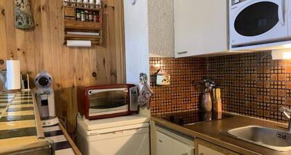 Apartment in Pra-loup Near Molanes Lift