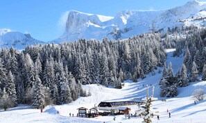 Snow and ski sports - Mini-studio With 2 Beds (Le Dévoluy)