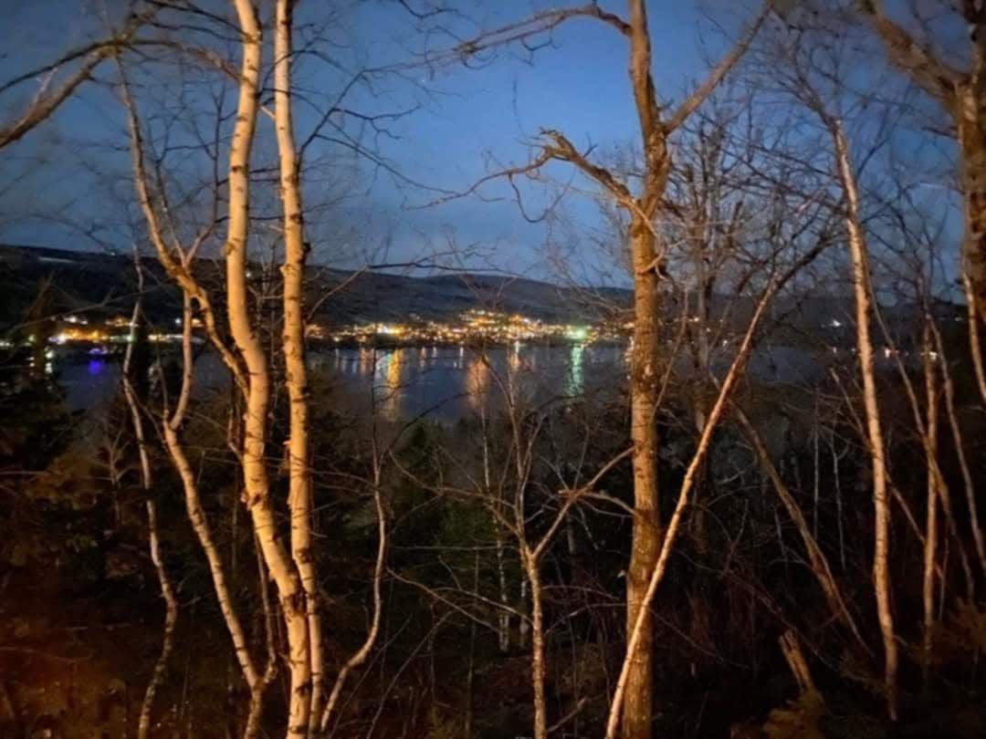 Vista nocturna de un lago con árboles en primer plano y un paisaje urbano al fondo.