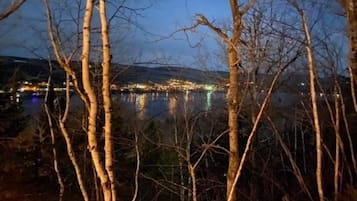 Vista nocturna de un lago con árboles en primer plano y un paisaje urbano al fondo.