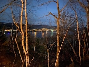 A nighttime view of a lake with trees in the foreground and a cityscape in the background.