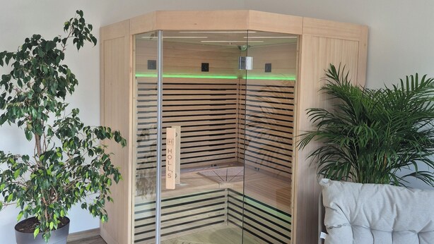 A corner room with a glass partition, a wooden slatted bench, and a potted plant. - Gîte Un instant de rêve in Dorlisheim, heated indoor pool, sauna (Dorlisheim)