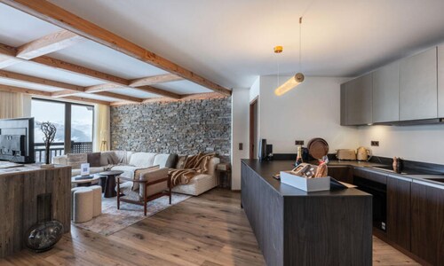 New Ski-in and Ski-out Apartment
