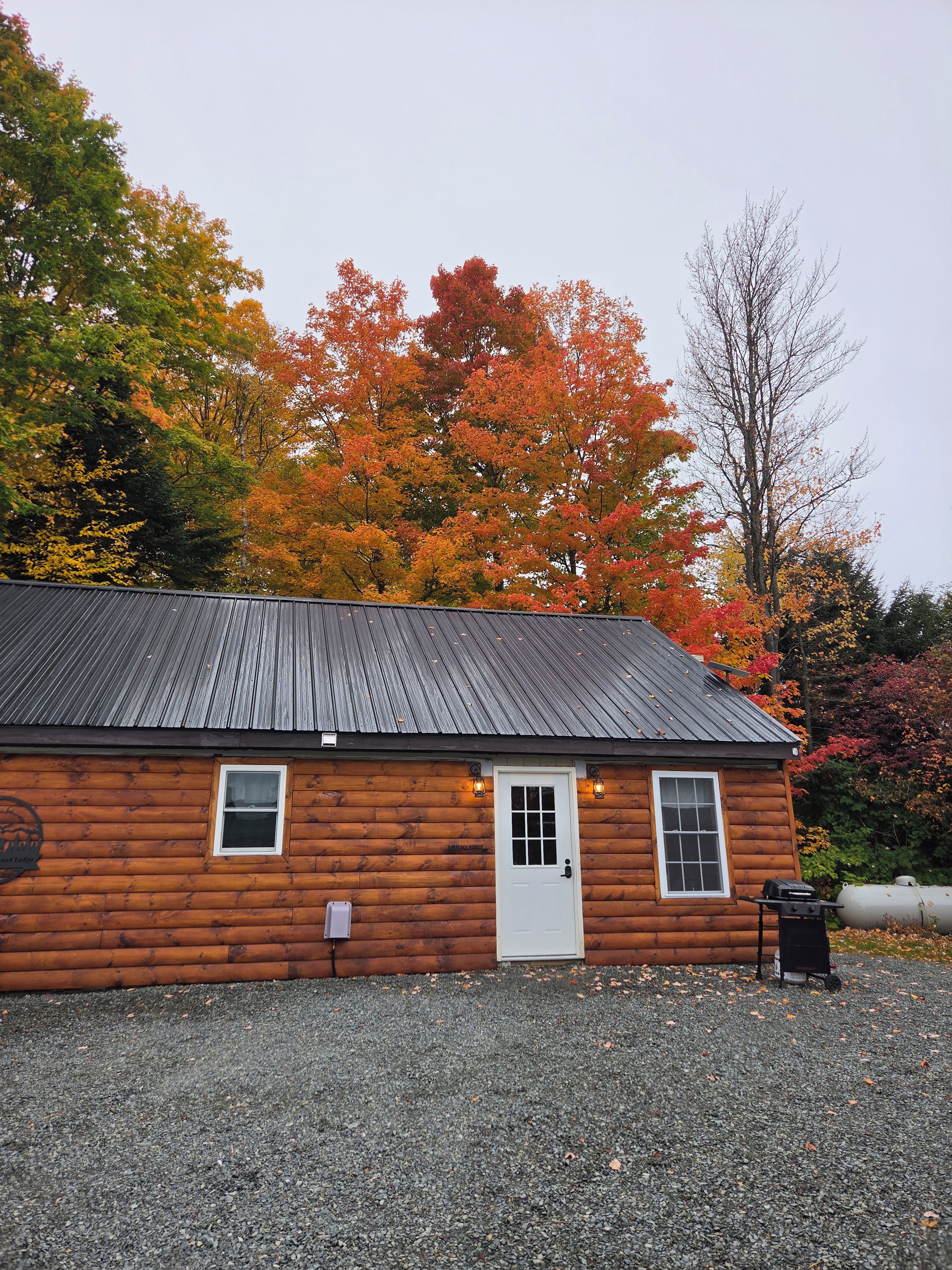 A wooden cabin with a metal roof, a white door, and two windows.
