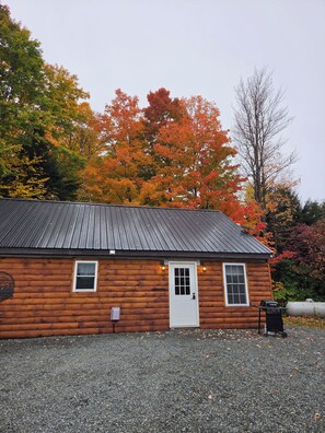 Une cabane en bois avec un toit en métal, une porte blanche et deux fenêtres.