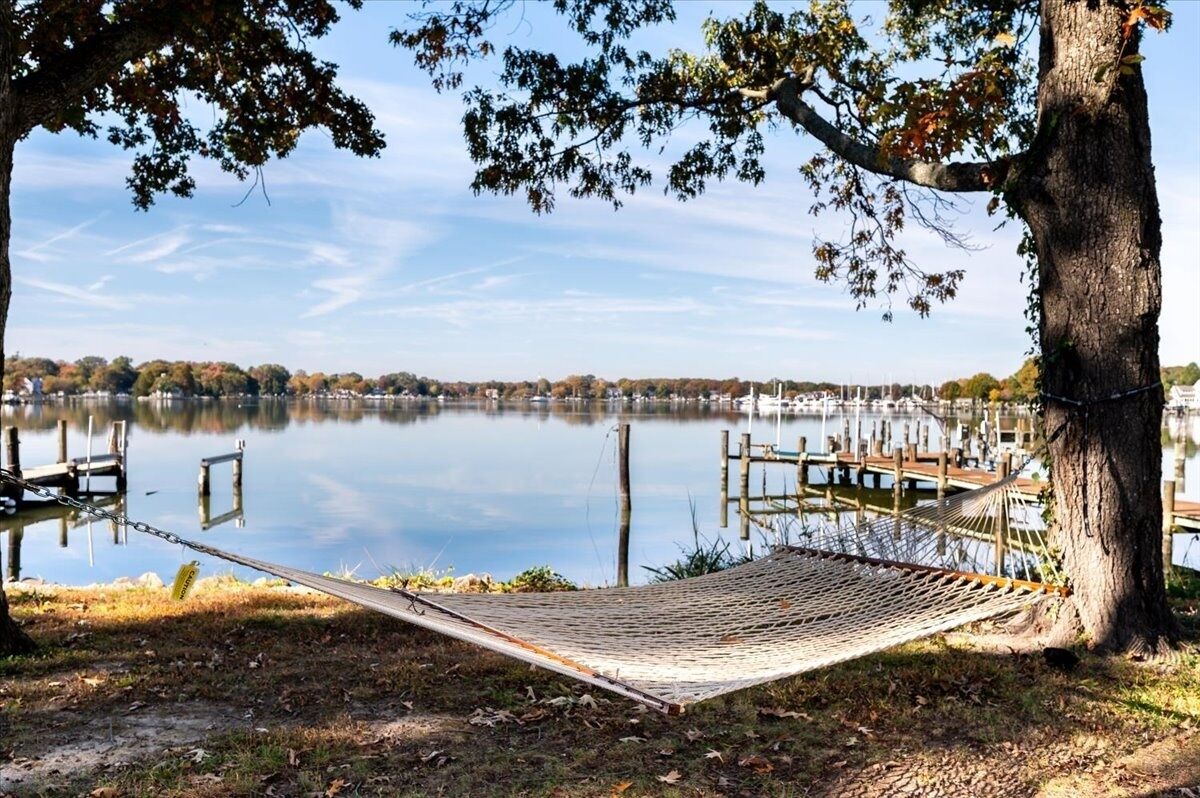 Una hamaca bajo un árbol junto a un lago tranquilo con estructuras de muelle al fondo.