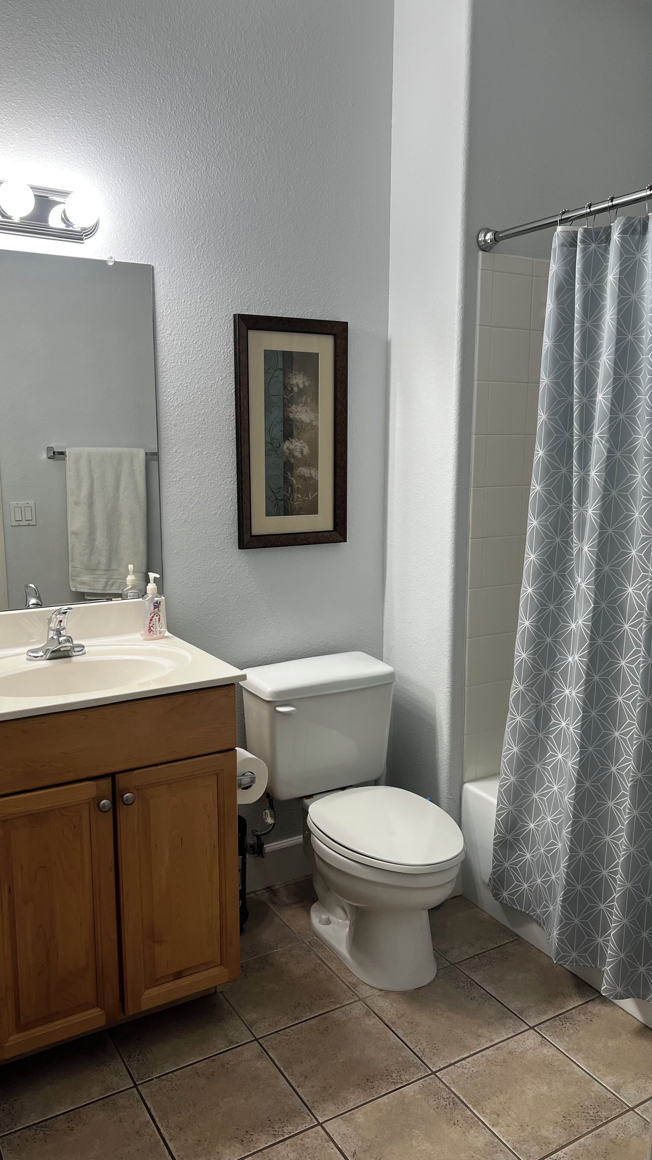 Une salle de bain avec un meuble-lavabo en bois, des toilettes, un tableau encadré au mur et un rideau de douche.