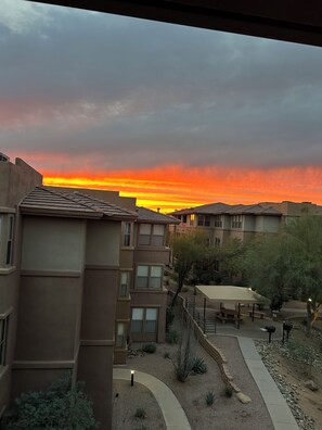 Property grounds - “Relax & Unwind in Sunny Scottsdale – Your Perfect Desert Getaway“ (Scottsdale)