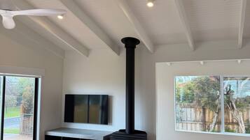 Una televisión, una chimenea