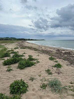 Ein Strand mit Sand, wenig Vegetation, bewölktem Himmel und entfernten Häusern.