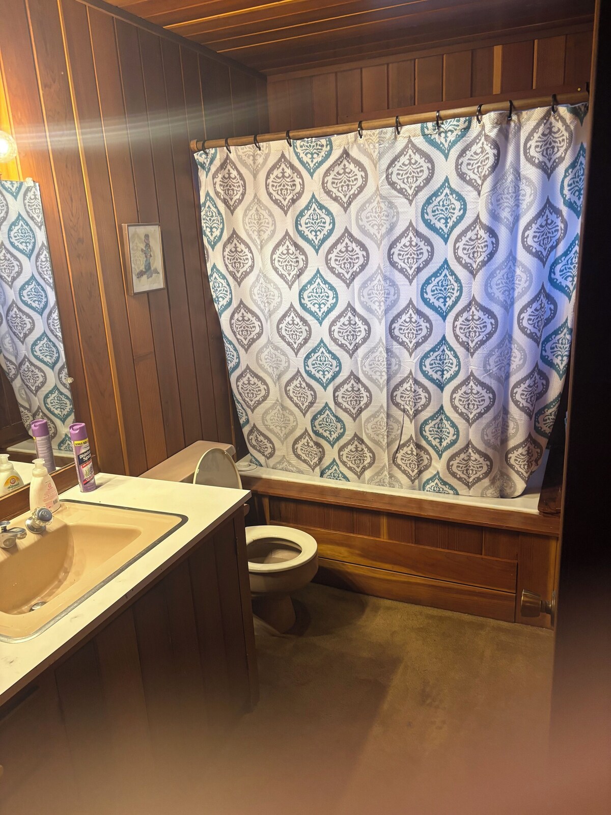 Imagen de perfil del propietario o de la propietaria