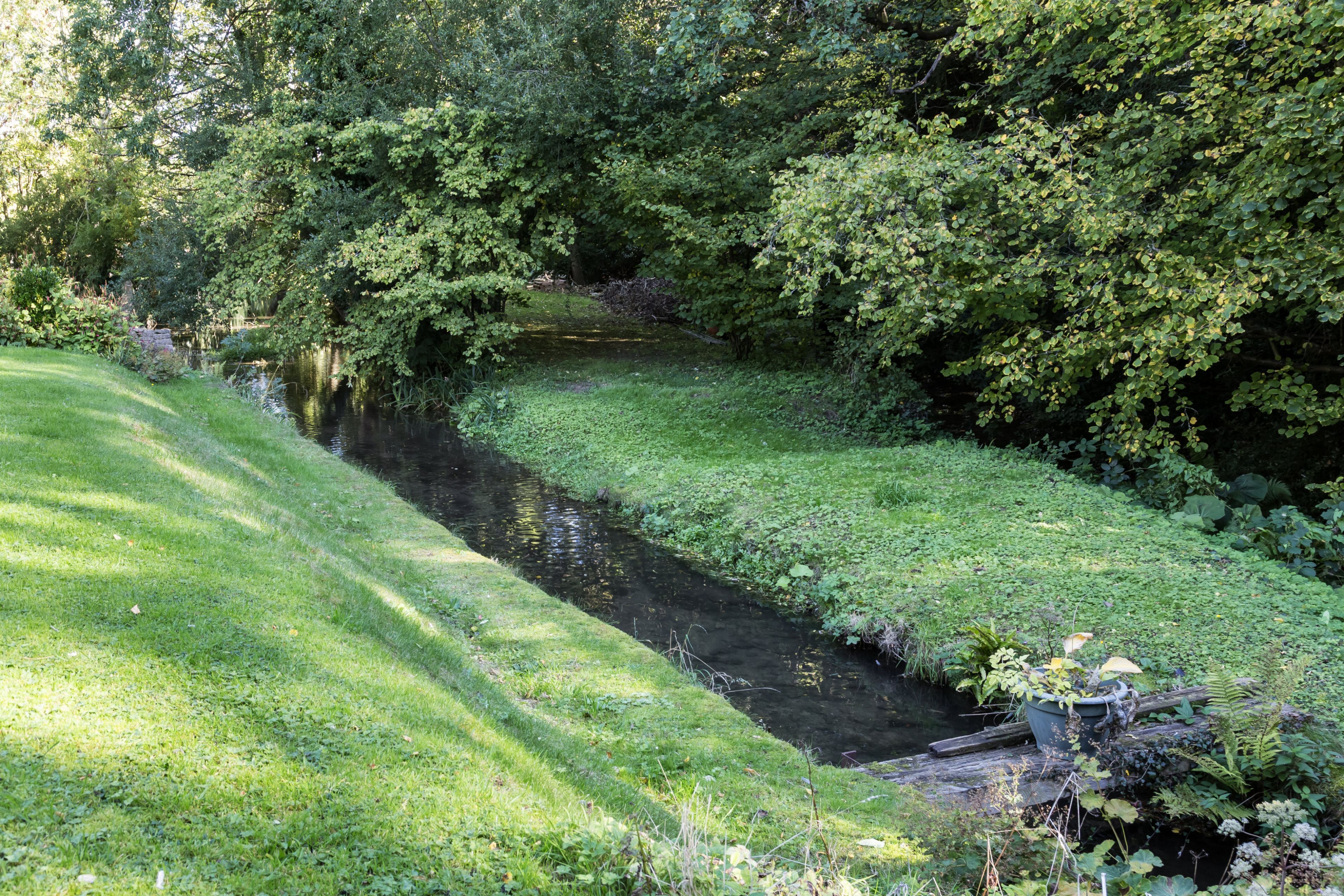 A serene riverside pathway surrounded by lush greenery and a small bridge.