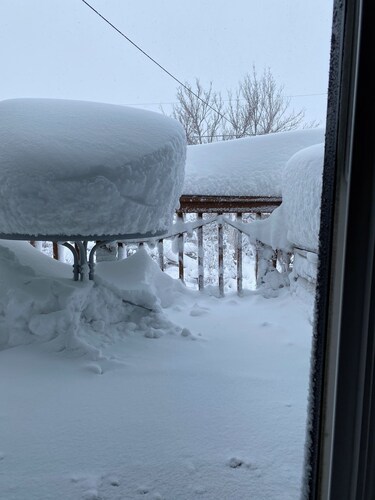  2 bedroom Deluxe Elk Run WorldMark Pagosa Colorado Fireplace 12/24-1/2/25 only