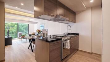 Apartamento, várias camas, sacada, vista para a cidade (Rio Neva 38 - (01)) | Cozinha privada