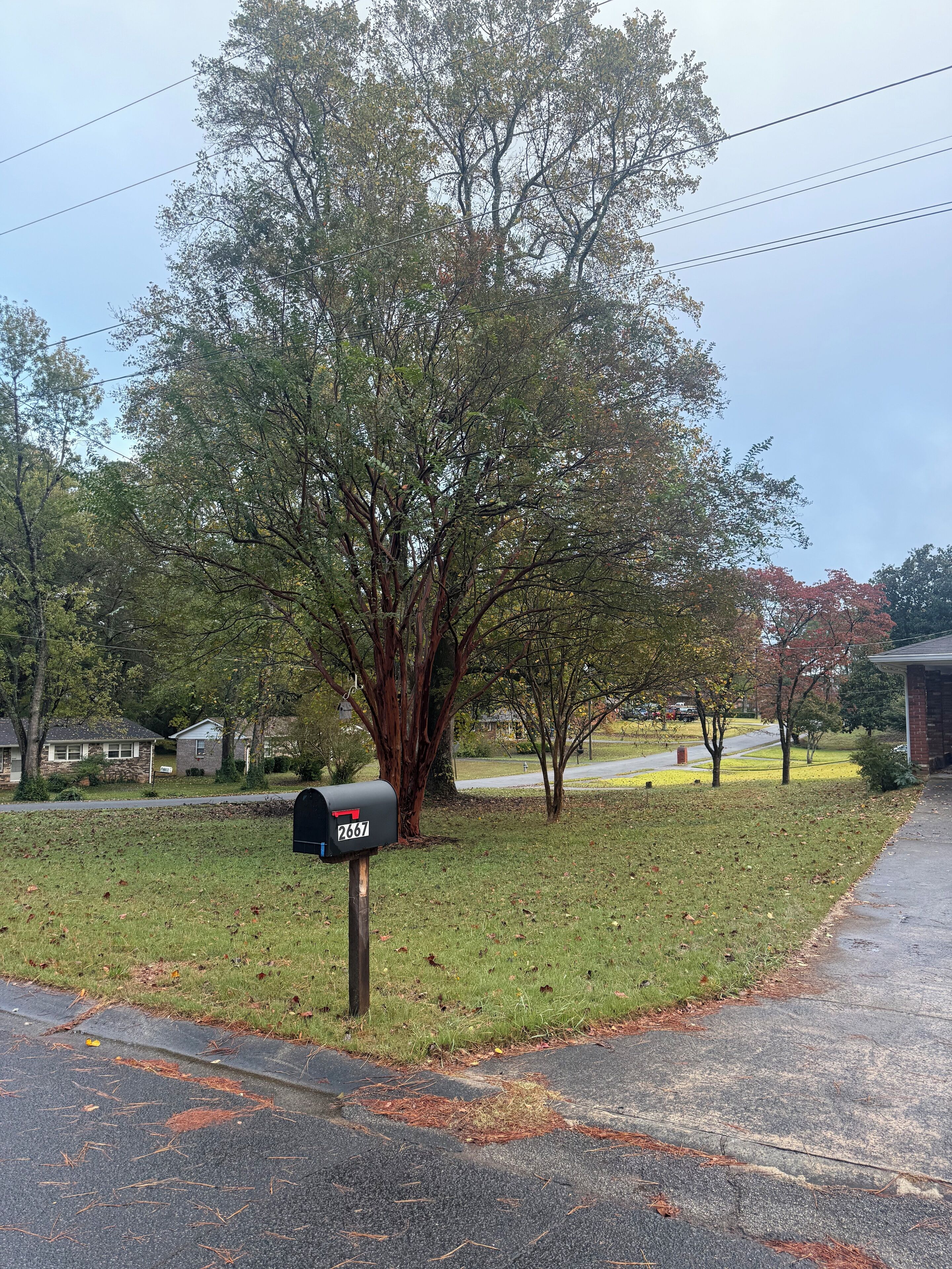 Property grounds