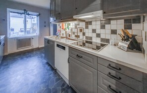 Fridge, oven, stovetop, dishwasher